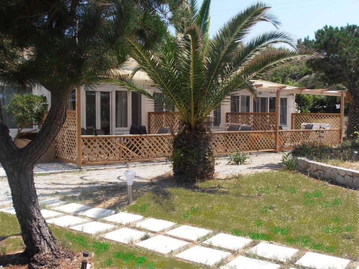 Έλλη Στούντιος και Διαμερίσματα Παραλία Αλμυρού Εξωτερικό φωτογραφία